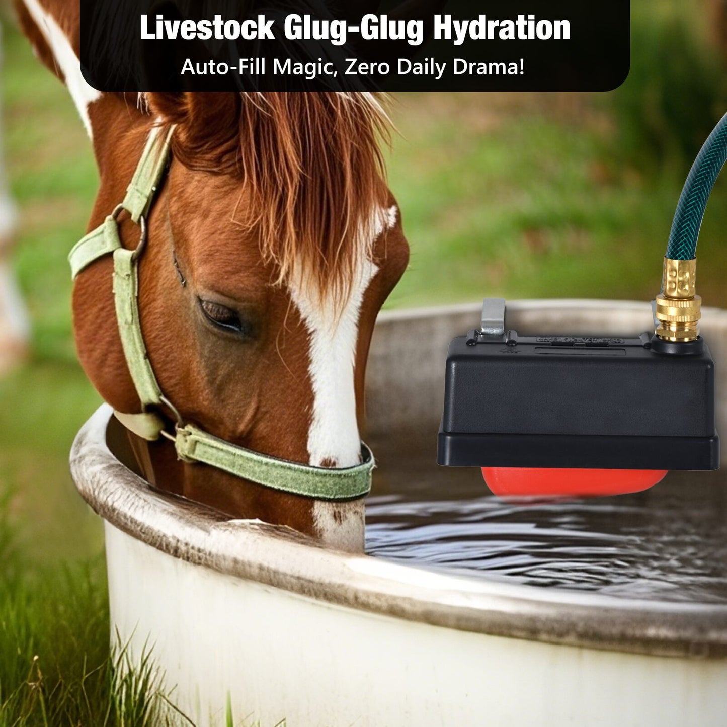 Apxton Water Trough Float Valve, Water Tank Float Valve for Livestock Horse Cattle Goat Farm, Automatic Horse Waterer for Stock Tank, Automatic Livestock Waterer for Stock Tanks